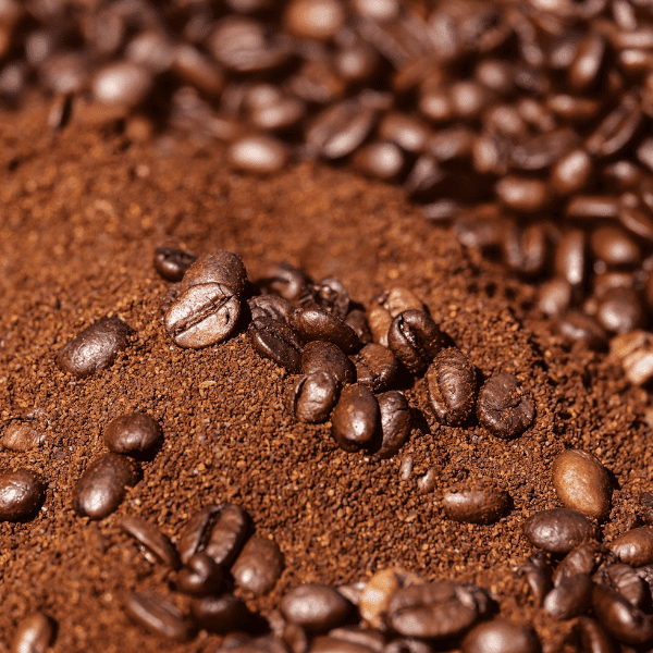 Café Robusta vs Café Arabica : Découvrez celui qui vous convient le mieux !